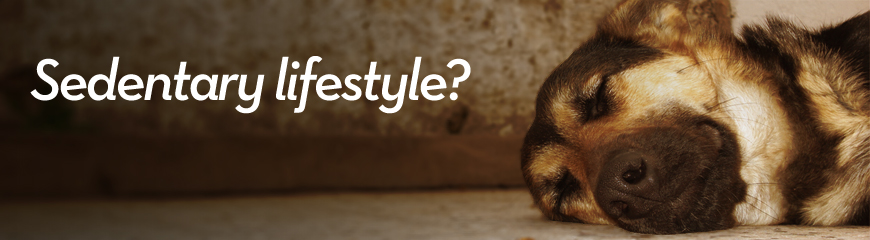 Sedentary lifestyle?